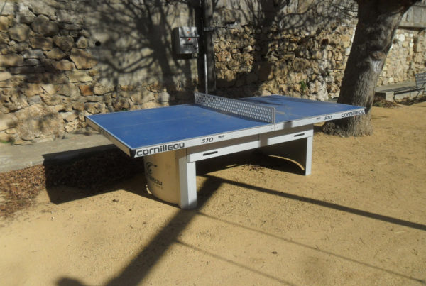 table de ping pong bleu